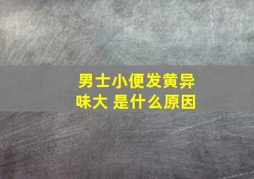 男士小便发黄异味大 是什么原因